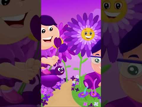 Learn Purple Color Song #colors #learncolors #colours #purple #violet #colour #color #kidscolors