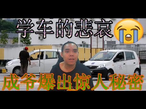 学车好悲哀啊😭😭[ 啥话敢敢说第11集】