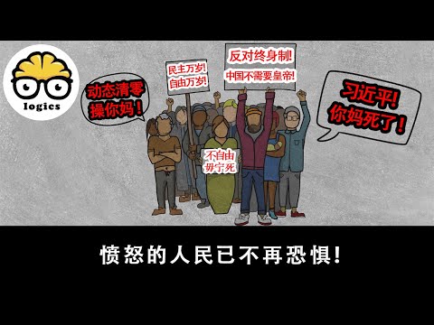 A compilation of recent protests across China