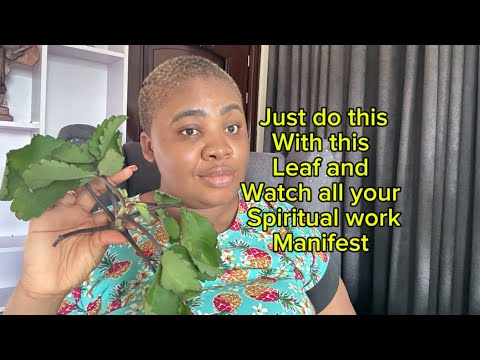 How to use miracle leaf to manifest instant money.