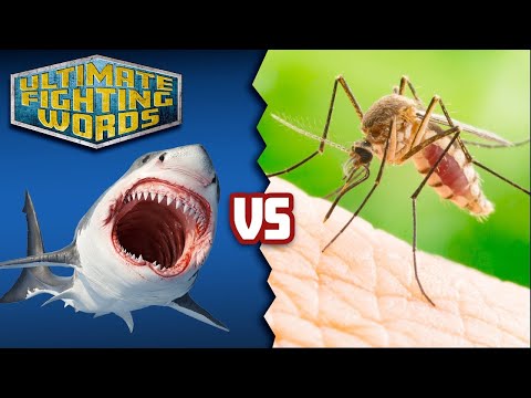 SHARK vs MOSQUITO: Whose Bite is Worse? | ULTIMATE FIGHTING WORDS