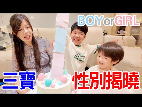 三寶性別派對｜到底是弟弟？妹妹？ - 恩恩老師 Ean TV