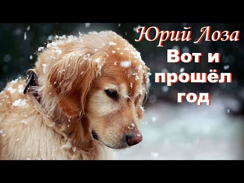 Философская песня от Юрия Лозы – Вот и прошёл год