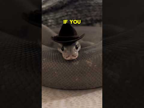 NEVER Do This To A Snake 😨 #viral