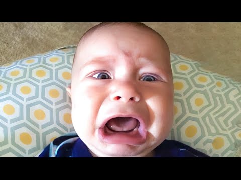 Try Not to Laugh at These Funniest Baby Moments - Funny Baby Videos