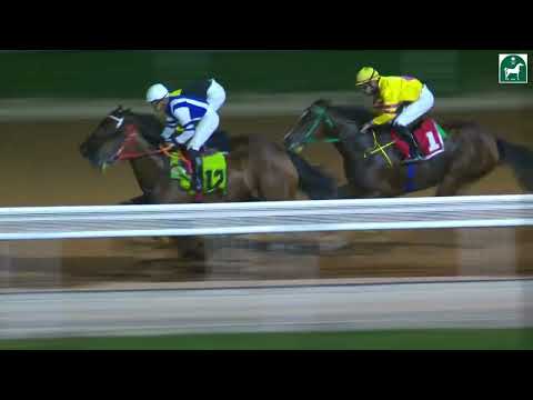 RIYADH RACING SEASON MEETING NO 52 RACE NO 6