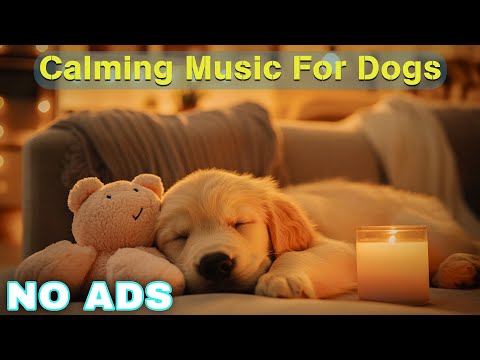 12 Hours of Healing Dog Music 🐶 Soothing Music for Deep Relaxation 🐕 Anti - Anxiety Videos No Ads