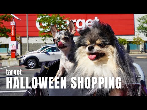 Target Halloween Shopping 2023 With Our Dogs | Life in NYC