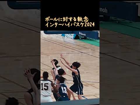 ボールに対する執念　インターハイバスケ2024　京都精華学園#バスケ#京都精華学園#インターハイバスケ#高校バスケ#世界が終わるまでは