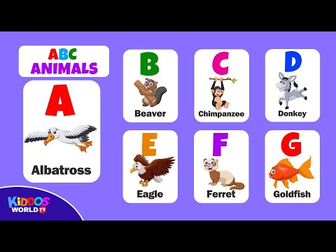 Learn the Alphabet Animals for Children with Animated Animal Illustrations and Videos