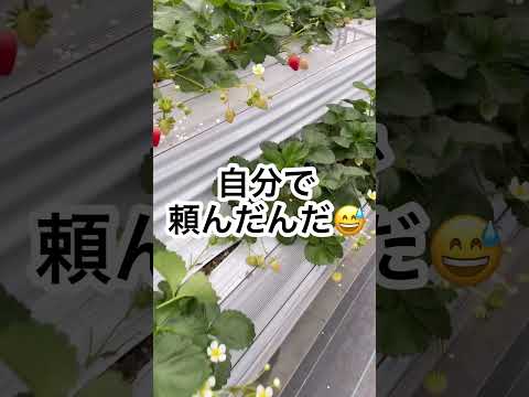 天然な母の回答が斜め上すぎた🤣#shorts