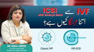 ICSI vs  IVF Why is ICSI More Expensive  Explained Simply