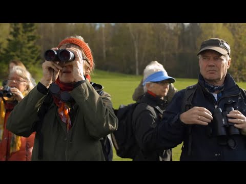 Stockholm: the World’s First Inner-City National Park