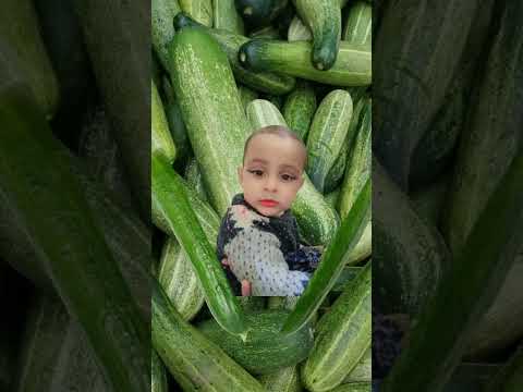 cucumber 🥒 cute baby 🍼 #shorts #cucumber #cutebaby #youtubeshorts