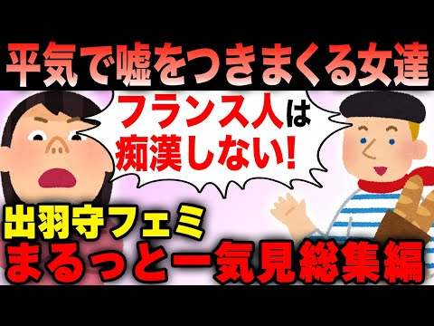 出羽守フェミ 自分に都合よく海外を神聖化して日本下げをした結果 一気見まとめ総集編【作業用】【ツイフェミ】