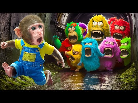 KiKi Monkey Hide and Seek with Rainbow Monster to escape from Prison Maze | KUDO ANIMAL KIKI