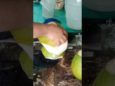 best style of cutting coconut Asmr #satisfying #cuttingskills #streetfood #youtubeshorts #Gatchie Jr