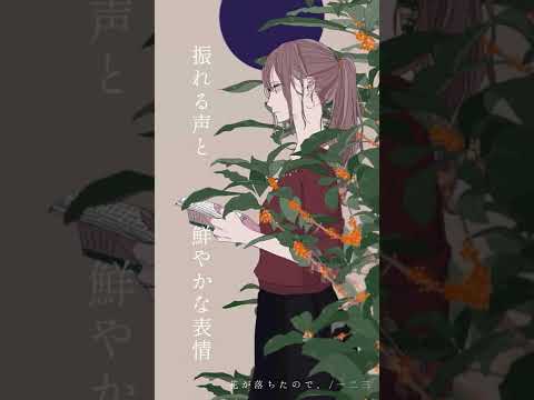 花が落ちたので、　Acoustic ver. #Shorts