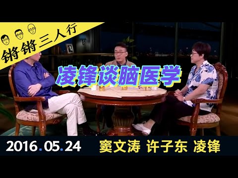 锵锵三人行20160524凌锋谈脑医学(窦文涛 许子东 凌锋)