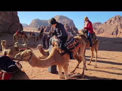 Camel ride in Wadi Rum