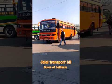 jalal transport bathinda 🥀🥀 moga to bathinda 🥀🥀 amazing bus shorts 🥀🥀 buses of bathinda 🥀🥀 #trending