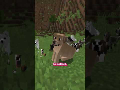 Better Dogs in Minecraft