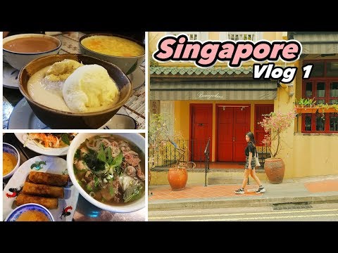 Singapore Vlog// 超好吃榴莲西米露!!!