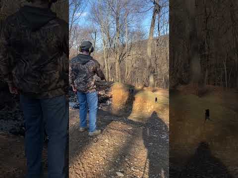 Target practice with 22 revolver #trending #trendingshorts #gun #shorts