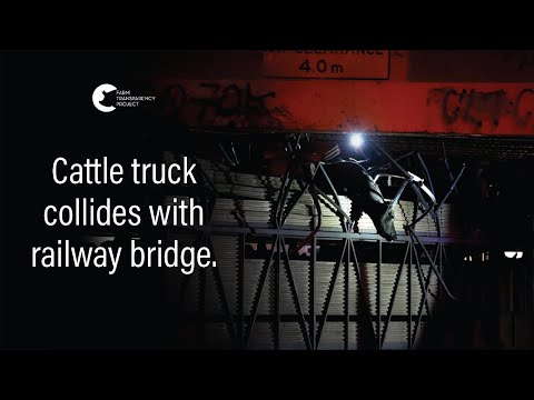 Cows Killed In Horrific Melbourne Truck Crash