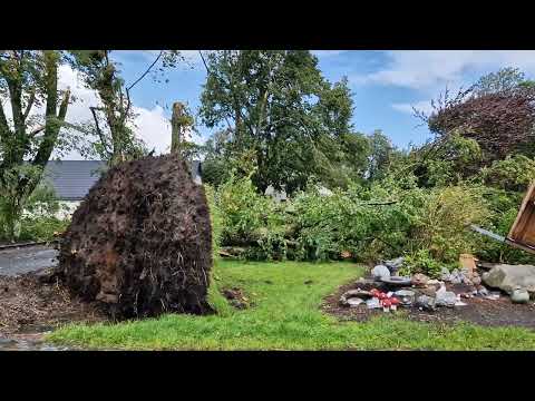 Down the damage path of the Aug 24 2024 small tornado at Klovborg, Denmark