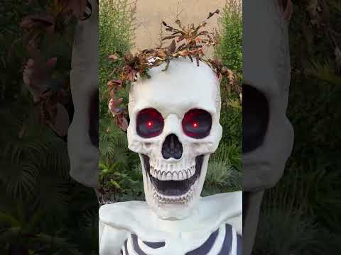 GIANT GROUND BREAKING SKELETON DECORATED!!!! | Stay with me for HALLOWEEN INSPIRATION too!