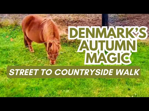 Enchanting Autumn Walk in Denmark: From Cozy Streets to Scenic Countryside!