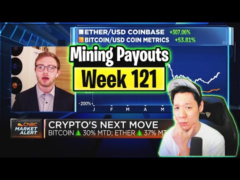 Weekly Mining Payouts 8/8/21 | Week 121