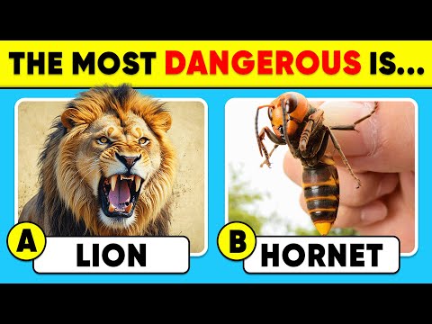 How Good Is Your Knowledge of ANIMALS? 🦁🐝✅ Animals Knowledge Trivia Quiz