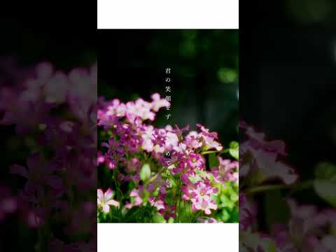 『ペアリング(Acoustic Ver.)』配信スタート💍💍