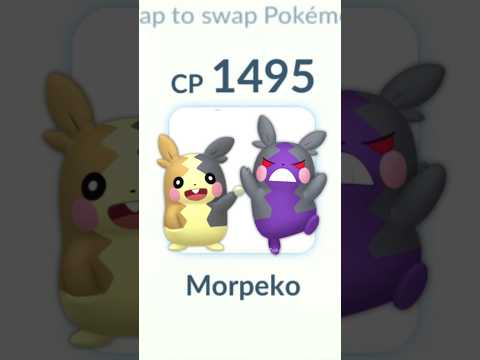 11,000 CP Sw SCIZOR vs FORM CHANGING POKEMON *MORPEKO* in Pokemon GO.