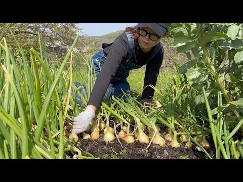 home garden for self-sufficiency / Sustainable Agriculture