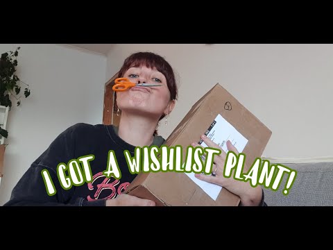 SURPRISE PLANT UNBOXING! with Growinggreennz