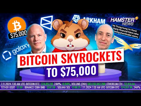 Election day shakes crypto, Trump boosts Bitcoin, SEC chief may resign ⚡️ Hamster News