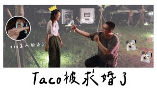 《不想上班社畜日常#3》Taco突然被求婚了？老闆加碼送美國商務艙、送婚假！