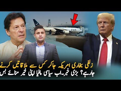 Zulfi Bukhari Big Statement Over Trumps Victory, Politics| Imran Khan Today