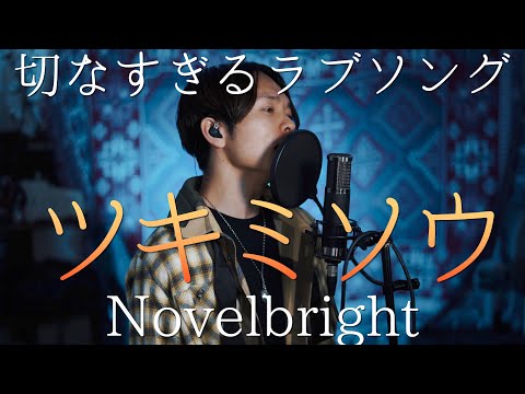 【感情乗せまくって歌った】"ツキミソウ" Novelbright / covered by 財部亮治