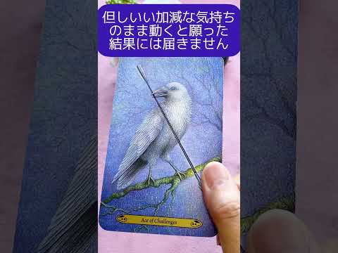 【タロット】🌠今のあなたに必要な一言メッセージ💌🌈✨🔮