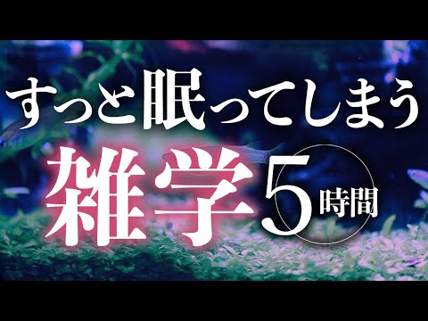 【睡眠導入】すっと眠ってしまう雑学5時間【合成音声】