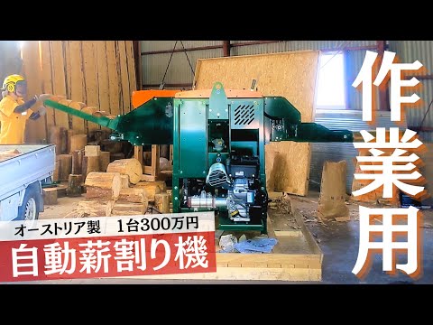 オーストリア製の自動薪割り機を使ってみた【作業用】