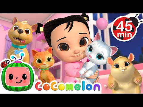 CoComelon Pet Animal Medley with Bingo & Jellybean! 🐾 + MORE CoComelon Nursery Rhymes & Songs