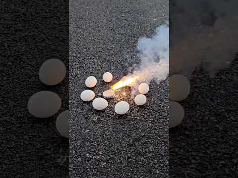 Fire cracker (chakri ) vs eggs 🥚#sciencehacks #experiment #challenge #lifehack #shorts