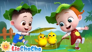 Baby Animals Play in the Rain | Rain Rain Go Away | Kids Songs & Nursery Rhymes | LiaChaCha