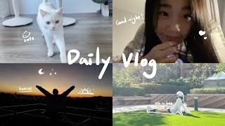 【Daily Vlog】國中生週末的日常🐷｜八點就上床睡覺了🥱｜晴空萬里的天氣還可以看到晚霞🌄🤩｜喵Miya