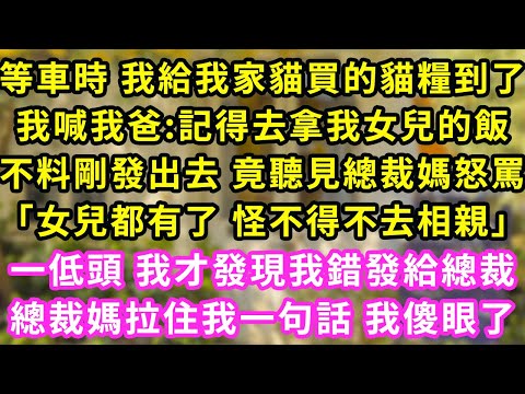 等車時 我給我家貓買的貓糧到了，我喊我爸:記得去拿我女兒的飯，不料剛發出去 竟聽見總裁媽怒罵「女兒都有了怪不得不相親」一低頭 我才發現我錯發給總裁，總裁媽拉住我一句話 我傻眼了#甜寵#灰姑娘#霸道總裁